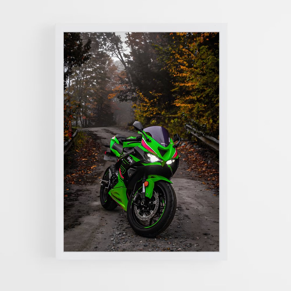 Poster Roadster Vert (vue 3)